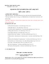 Đề cương ôn tập Giữa kì 1 Tiếng Anh 11 năm 2024–2025 trường THPT Phước Long (TP Hồ Chí Minh)